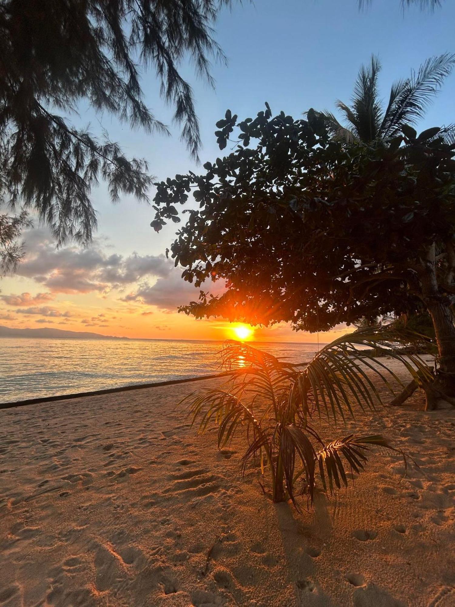 Hotel Pinks Bungalow Baan Tai Exteriér fotografie